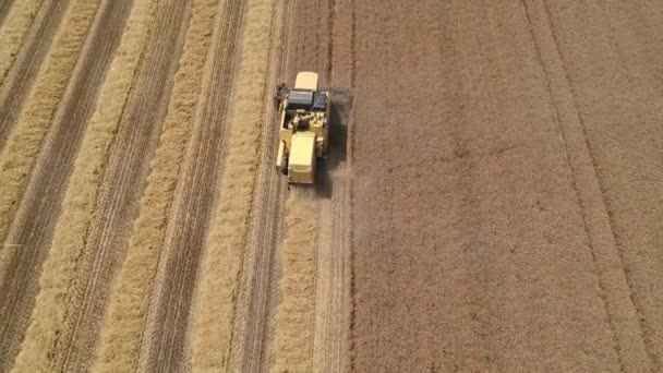 Erntemaschine Auf Einem Feld — Stockvideo