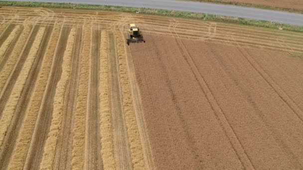 Erntemaschine Auf Einem Feld — Stockvideo