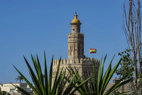 Torre Del Oro Siviglia — Stock Photo, Image