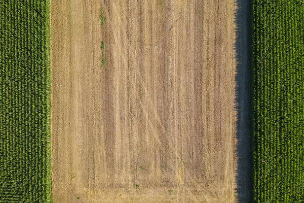 Сільськогосподарське поле, вид зверху — стокове фото
