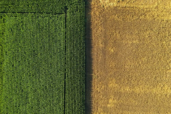 Landbouwgebied van bovenaf bekeken — Stockfoto