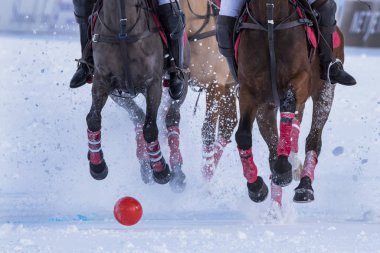 St. Moritz - 27 Ocak 2018: Kar Polo Dünya Kupası St.Moritz 2018'de maç aktiviteleri