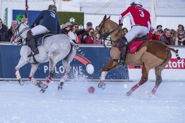 St. Moritz - 27 Ocak 2018: Kar Polo Dünya Kupası St.Moritz 2018'de maç aktiviteleri