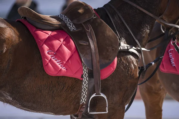 St. Moritz - 27 Ocak 2018: Kar Polo Dünya Kupası St.Moritz 2018'de maç aktiviteleri