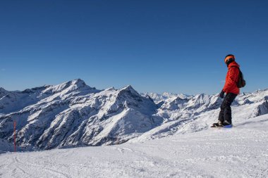 Alplerde snowboard