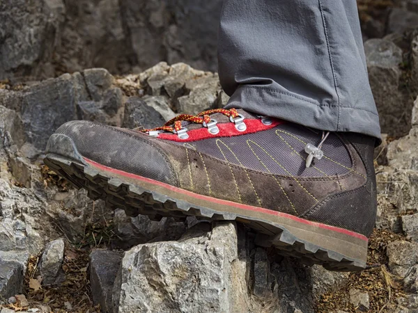 Trekking boot on a rock  detail