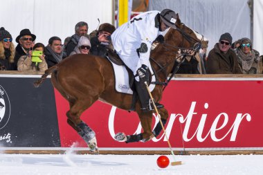 St. Moritz ( İsviçre ) - 30 Ocak 2016: Kar Polo Dünya Kupası St.Moritz 2016'da maç aktiviteleri