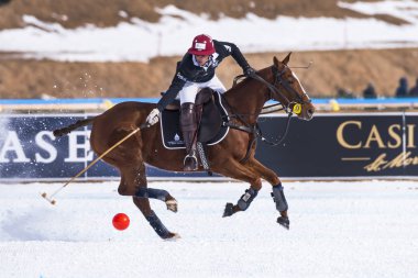 St. Moritz ( İsviçre ) - 30 Ocak 2016: Kar Polo Dünya Kupası St.Moritz 2016'da maç aktiviteleri