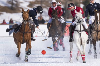 St. Moritz ( İsviçre ) - 30 Ocak 2016: Kar Polo Dünya Kupası St.Moritz 2016'da maç aktiviteleri