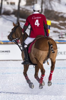St. Moritz ( İsviçre ) - 30 Ocak 2016: Kar Polo Dünya Kupası St.Moritz 2016'da maç aktiviteleri