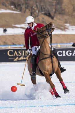 St. Moritz ( İsviçre ) - 30 Ocak 2016: Kar Polo Dünya Kupası St.Moritz 2016'da maç aktiviteleri