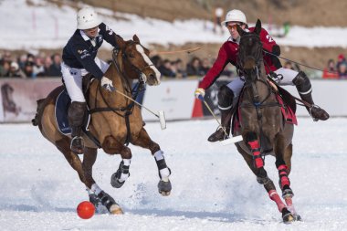 St. Moritz ( İsviçre ) - 30 Ocak 2016: Kar Polo Dünya Kupası St.Moritz 2016'da maç aktiviteleri