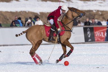 St. Moritz ( İsviçre ) - 30 Ocak 2016: Kar Polo Dünya Kupası St.Moritz 2016'da maç aktiviteleri