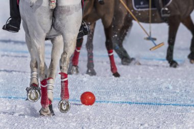 Kar polosu detayı yakın