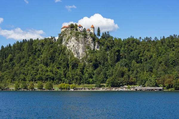 Pohled Jezero Bled — Stock fotografie