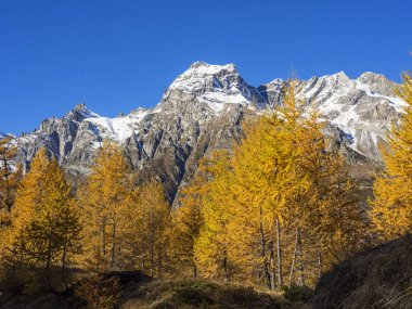 Alpe Devero alp manzara