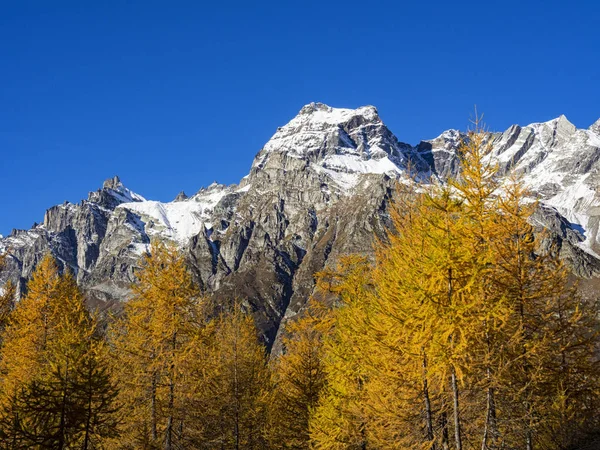 Alplandskapet Alpe Devero — Stockfoto
