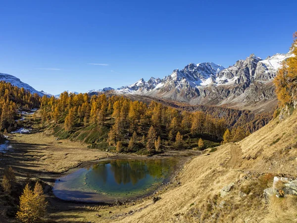 Alpine Landschaft Alpe Devero — Stockfoto