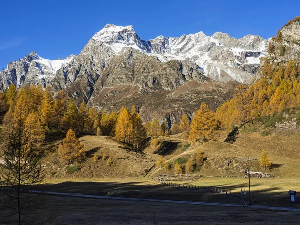 Alplandskapet Alpe Devero — Stockfoto