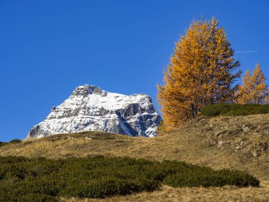 Alpe Devero alp manzara