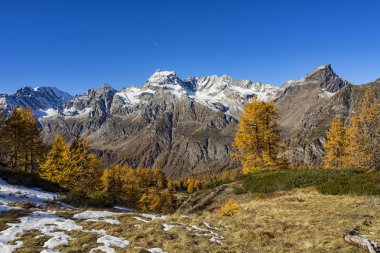 Alpe Devero alp manzara