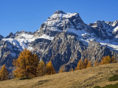 Alpe Devero alp manzara