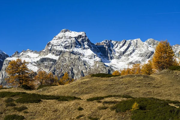 Alplandskapet Alpe Devero — Stockfoto