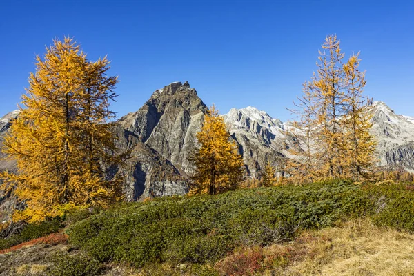 Alpine Landschaft Alpe Devero — Stockfoto