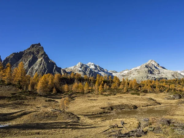 Alpská Krajina Alpe Devero — Stock fotografie