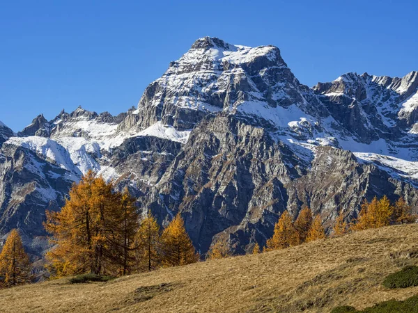 Alplandskapet Alpe Devero — Stockfoto