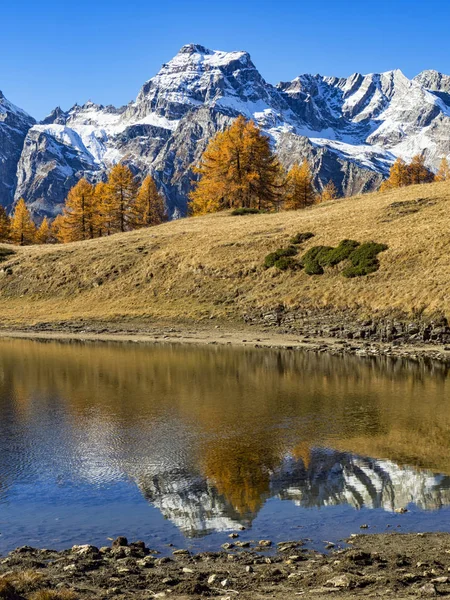 Alpine Landschaft Alpe Devero — Stockfoto