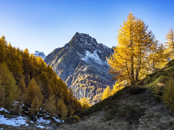 Alplandskapet Alpe Devero — Stockfoto