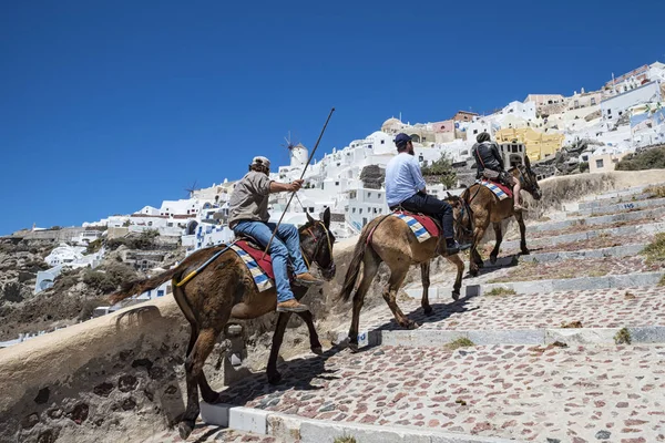 Passeio Burro Ilha Santorini Ammoudi Oia — Fotografia de Stock