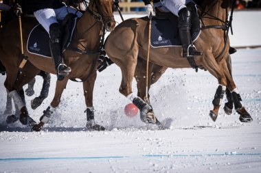 St. Moritz - 30 Ocak 2016: Kar Polo Dünya Kupası St.Moritz 2016'da maç aktiviteleri