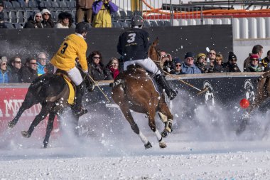 St. Moritz - 30 Ocak 2016: Kar Polo Dünya Kupası St.Moritz 2016'da maç aktiviteleri