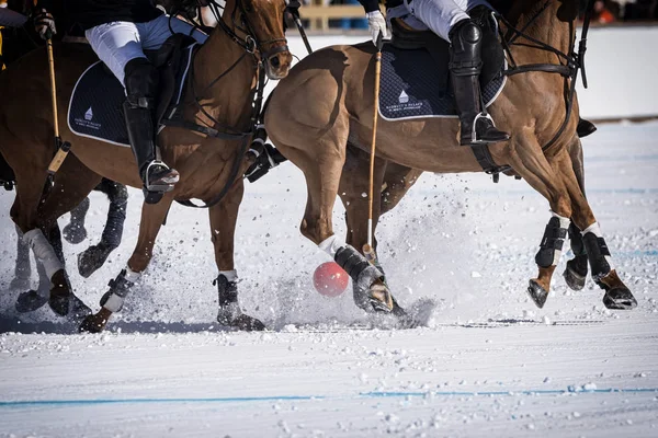 St. Moritz - 30 Ocak 2016: Kar Polo Dünya Kupası St.Moritz 2016'da maç aktiviteleri