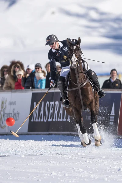 St. Moritz - 30 Ocak 2016: Kar Polo Dünya Kupası St.Moritz 2016'da maç aktiviteleri