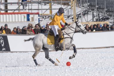 St. Moritz - 30 Ocak 2016: Kar Polo Dünya Kupası St.Moritz 2016'da maç aktiviteleri