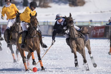 St. Moritz - 30 Ocak 2016: Kar Polo Dünya Kupası St.Moritz 2016'da maç aktiviteleri