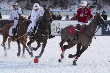 St. Moritz - 30 Ocak 2016: Kar Polo Dünya Kupası St.Moritz 2016'da maç aktiviteleri