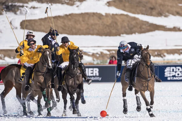 St. Moritz - 30 Ocak 2016: Kar Polo Dünya Kupası St.Moritz 2016'da maç aktiviteleri