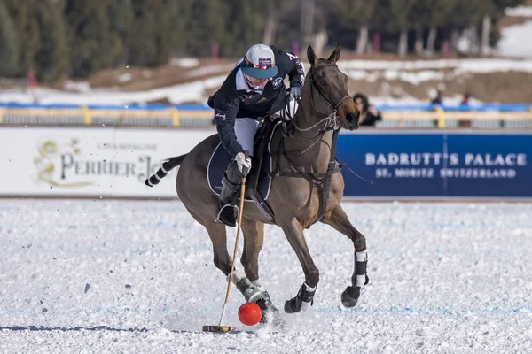 St. Moritz - 30 Ocak 2016: Kar Polo Dünya Kupası St.Moritz 2016'da maç aktiviteleri
