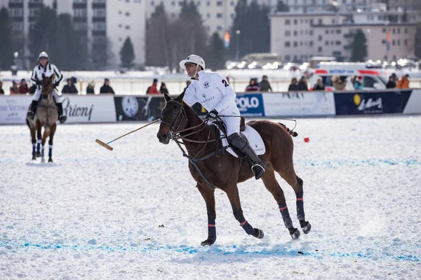 St. Moritz - 30 Ocak 2016: Kar Polo Dünya Kupası St.Moritz 2016'da maç aktiviteleri