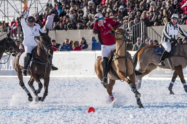 St. Moritz - 30 Ocak 2016: Kar Polo Dünya Kupası St.Moritz 2016'da maç aktiviteleri