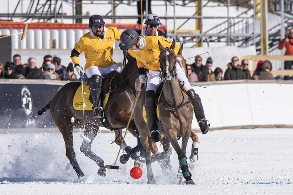 St. Moritz - 30 Ocak 2016: Kar Polo Dünya Kupası St.Moritz 2016'da maç aktiviteleri