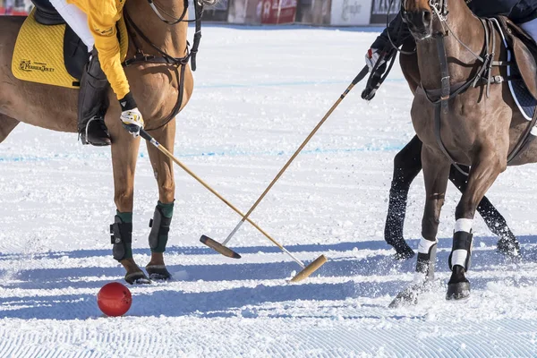 St. Moritz - 30 Ocak 2016: Kar Polo Dünya Kupası St.Moritz 2016'da maç aktiviteleri