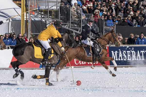 St. Moritz - 30 Ocak 2016: Kar Polo Dünya Kupası St.Moritz 2016'da maç aktiviteleri