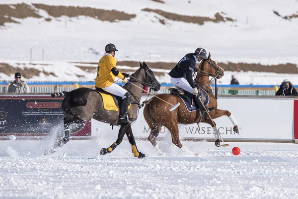 St. Moritz - 30 Ocak 2016: Kar Polo Dünya Kupası St.Moritz 2016'da maç aktiviteleri