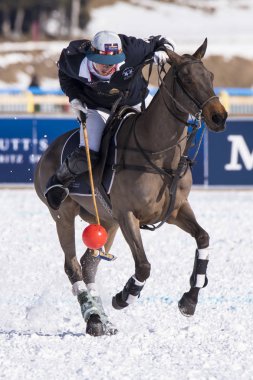St. Moritz - 30 Ocak 2016: Kar Polo Dünya Kupası St.Moritz 2016'da maç aktiviteleri