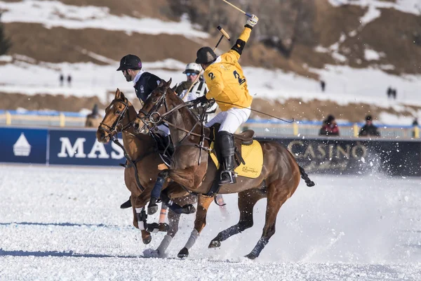 St. Moritz - 30 Ocak 2016: Kar Polo Dünya Kupası St.Moritz 2016'da maç aktiviteleri